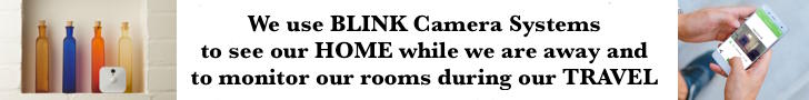 Blink Camera System
