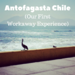 Antofagasta Chile (Our First Workaway experience)