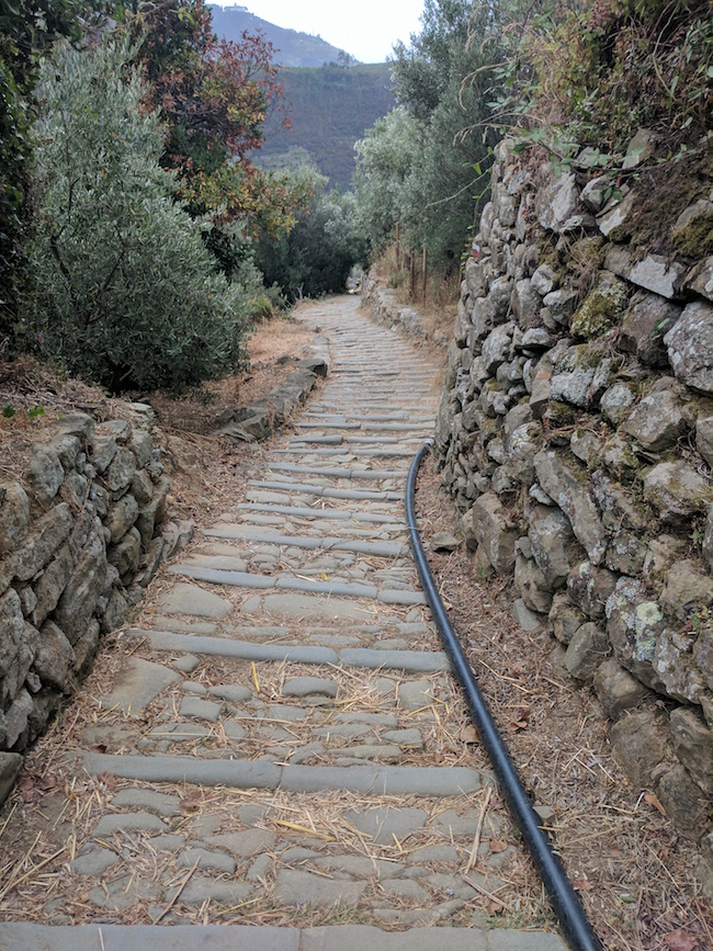 Cinque Terre Hiking path