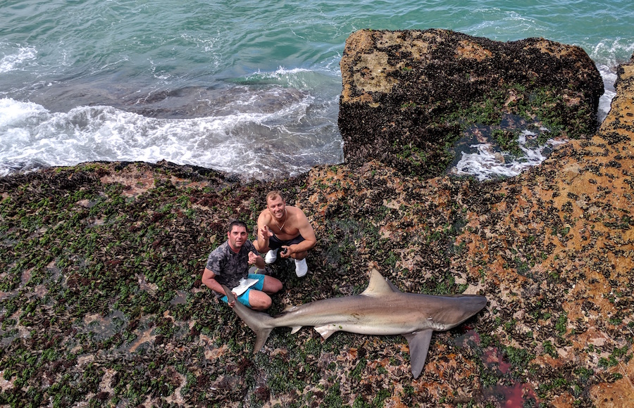 Shark South Africa Guy Trip